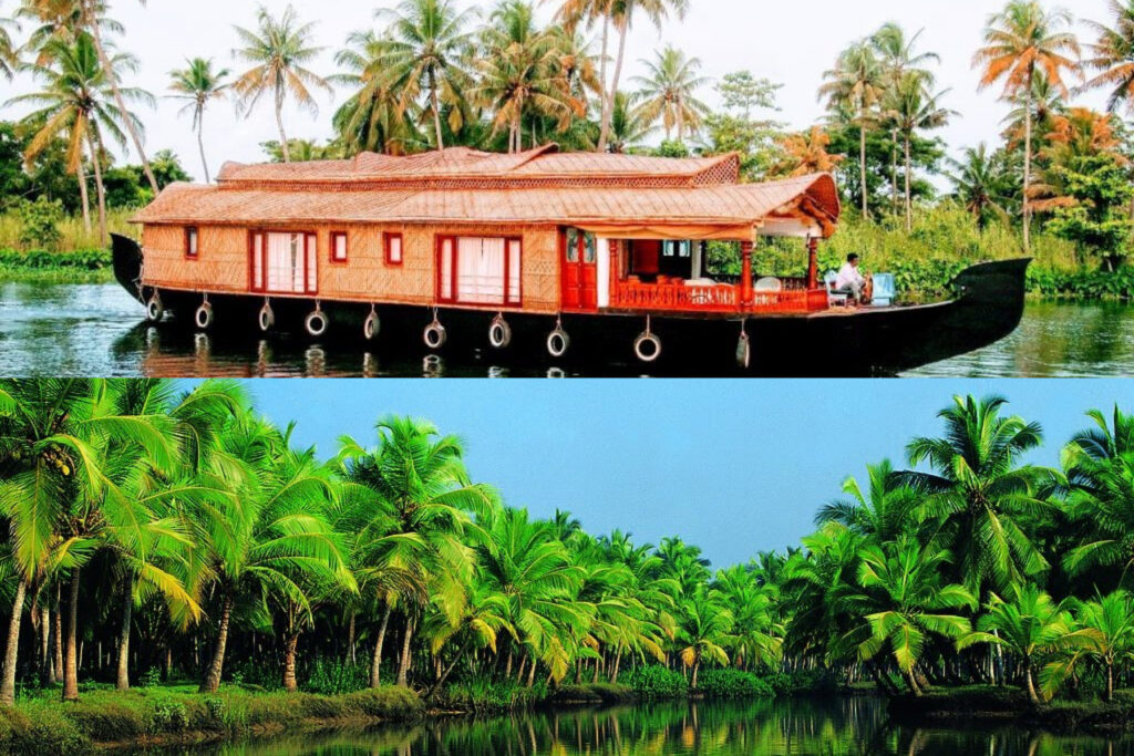 Kerala Landscape